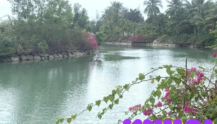 Sao Biển Island - Khánh Hòa