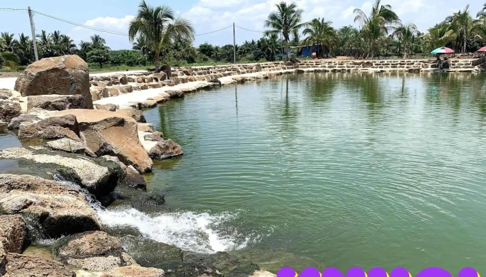 Sinh thái vườn Năm Bửu Suối Mơ - Tân Phú