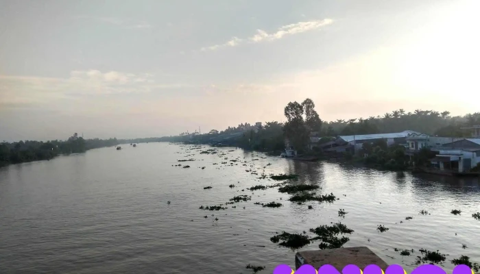 Song Mang Thit Tat Ca - Vĩnh Long
