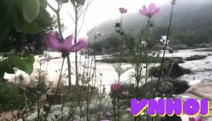 Suoi Da Ban Cua Chu So Huu - Khánh Hòa