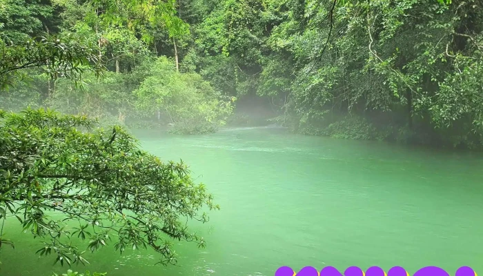 Suoi Le Nin Tat Ca - Cao Bằng