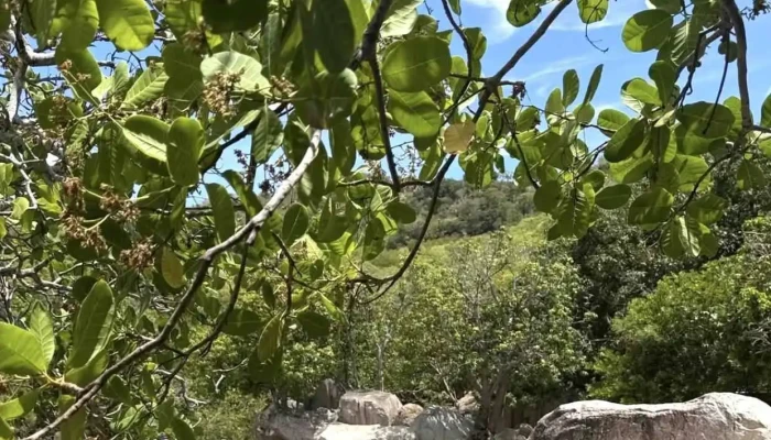 Suoi Lo O Moi Nhat - Ninh Thuận