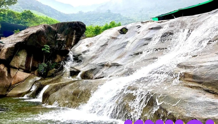 Suoi Mo Lang Co Dat Sap Tat Ca - Thành Phố Huế