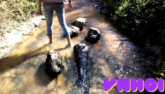 Suoi Tien Video - Bình Thuận