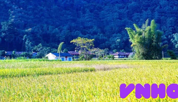 Suối hoa Bắc Sơn - Lạng Sơn