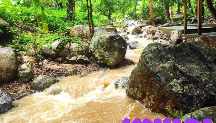 Suối Ô Tà Sóc - An Giang