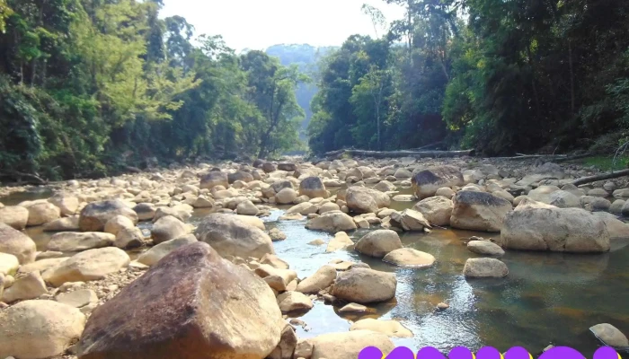 Suối đá tảng - Măng Đen