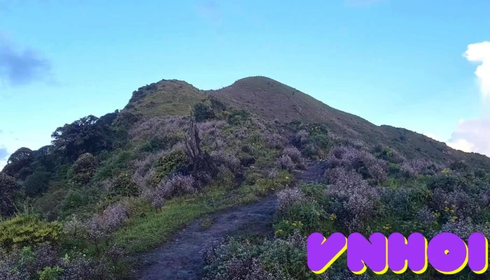 Ta Chi Nhu Nui - Yên Bái