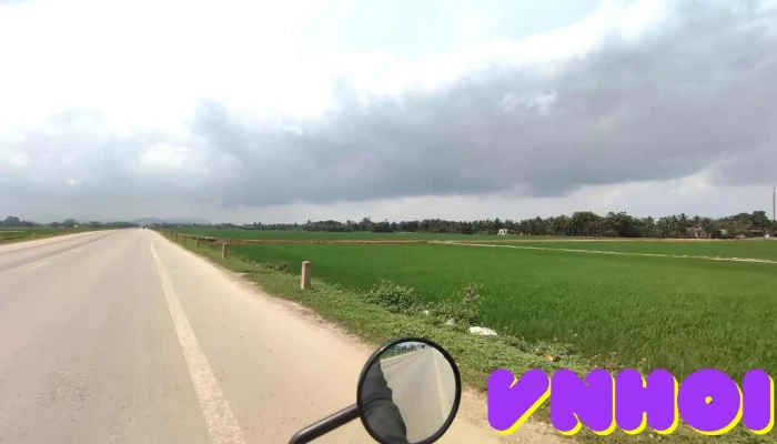 Te Nong Tat Ca - Thanh Hóa