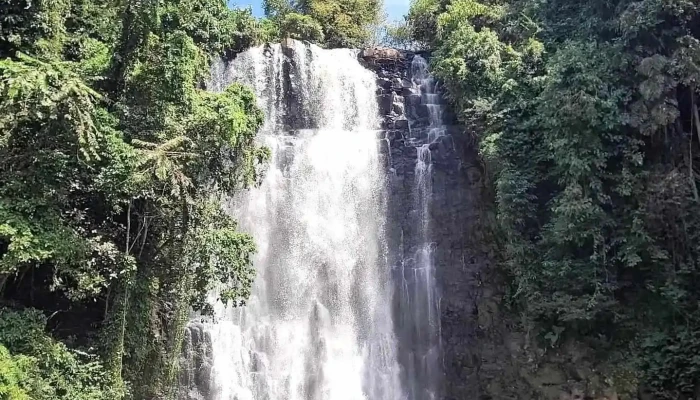 Tea Bobla Waterfall -  Video - Lâm Đồng