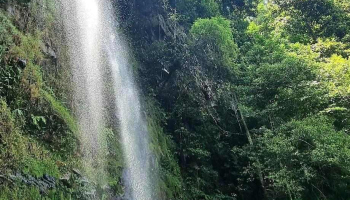 Thac Giot   Suoi Nuoc Vang Tat Ca - Bắc Giang