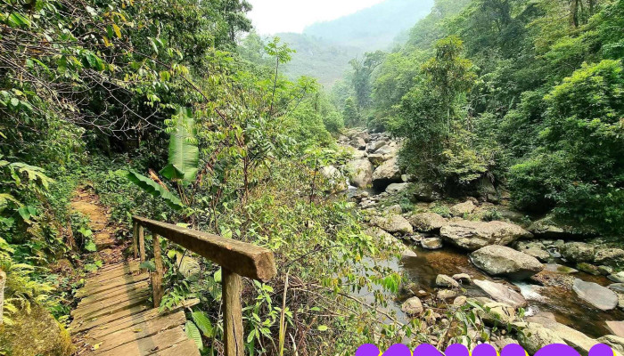 Thác khủng long Háng Đồng - Háng Đồng