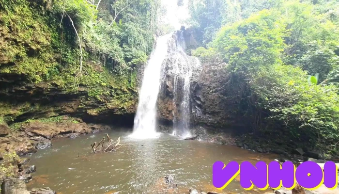 Thac Tam Hop Chua Di Da Video - Lâm Đồng