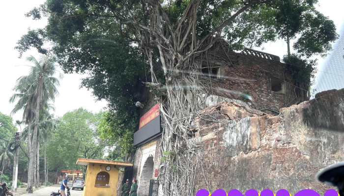 Thanh Co Bac Ninh Moi Nhat - Bắc Ninh