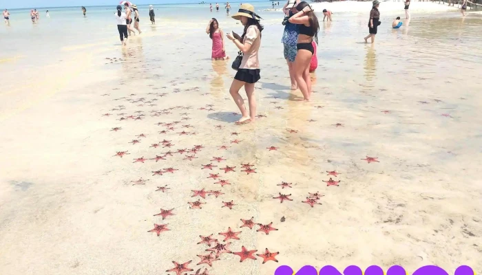 Thanh Duy Phu Quoc Travel Tat Ca - Kiên Giang