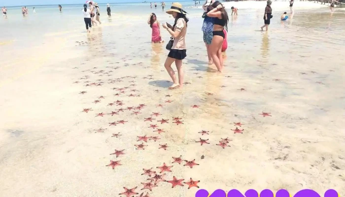 Thành Duy Phú Quốc Travel - Kiên Giang