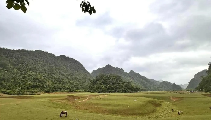 Thao Nguyen Dong Lam Moi Nhat - Lạng Sơn