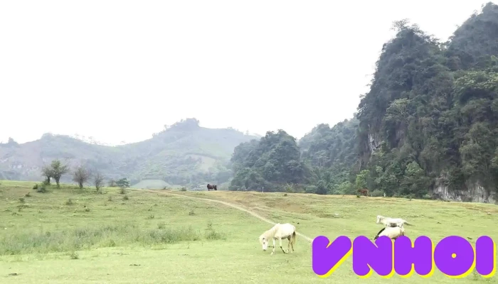 Thao Nguyen Dong Lam Video - Lạng Sơn