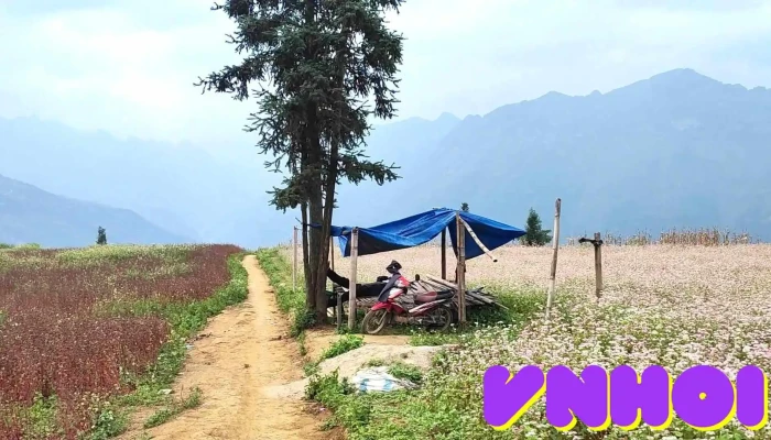 Thao Nguyen Suoi Thau Xin Man Ha Giang Video - Hà Giang