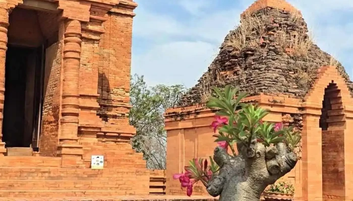 Thap Cham Po Sah Inu Video - Bình Thuận