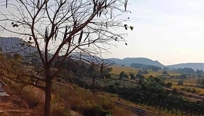 Thap Po Dam Video - Bình Thuận