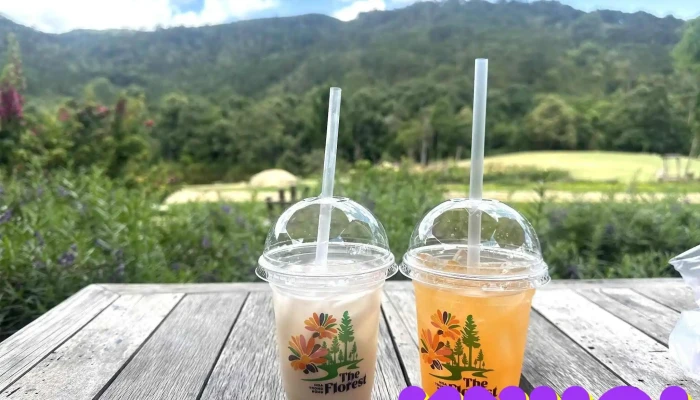 The Florest Hoa Trong Rung Nuoc Ep - Lâm Đồng