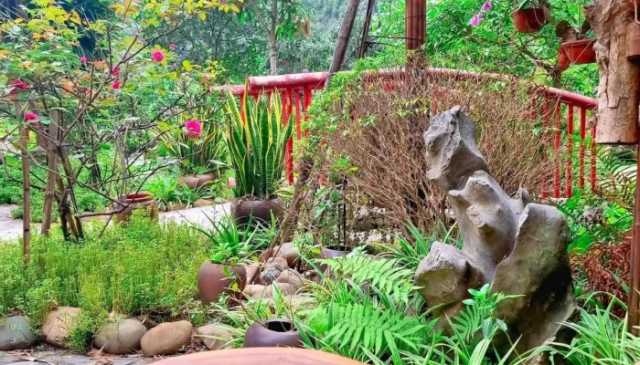 The Goat Boutique Resort -    Ninh Binh Thuc Pham Va Do Uong - Ninh Bình