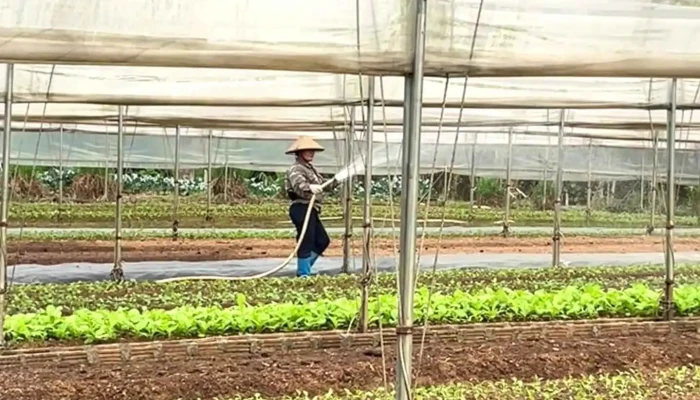 The Valley Farm -    Hop Tac Xa Nong San Huu Lung Video - Lạng Sơn