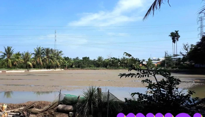 Thi Xa Cai Lay Bai Bien - Tiền Giang