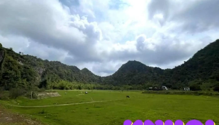 Thung Lung Buom   Butterfly Valley Moi Nhat - Hải Phòng