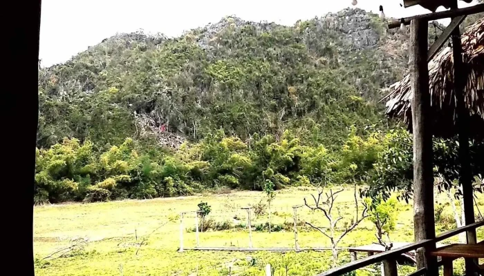 Thung Lung Buom   Butterfly Valley Tat Ca - Hải Phòng