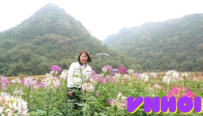 Thung Lung Hoa Bac Son Vuon - Lạng Sơn