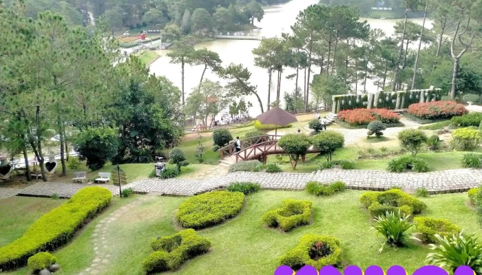 Thung Lung Tinh Yeu Tat Ca - Lâm Đồng