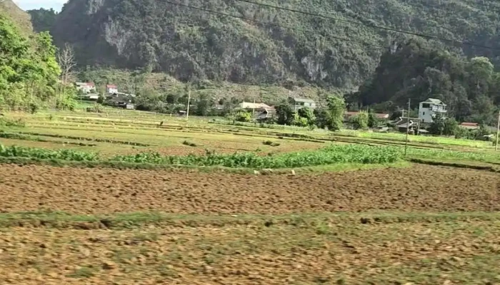 Thung Lung Xuan Truong Moi Nhat - Cao Bằng