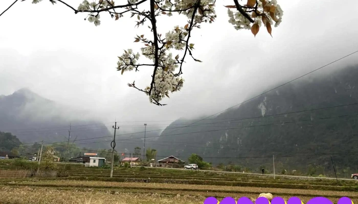 Thung Lung Xuan Truong Nui - Cao Bằng