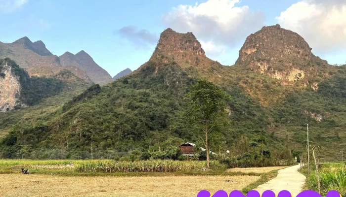 Thung Lung Xuan Truong Tat Ca - Cao Bằng