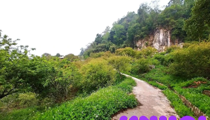 Thung Lũng Mu Náu - Tt. Mộc Châu