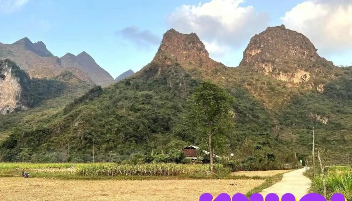 Thung lũng Xuân Trường - Cao Bằng