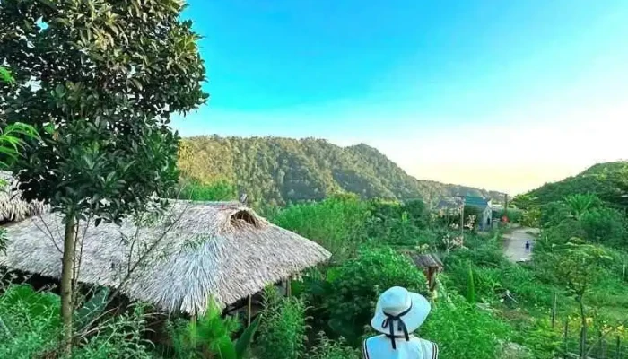 Thung Mây Wellness Retreat - Hòa Bình