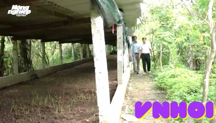 Trai Trun Que   Trang Trai Sach Cua Chu So Huu - Tiền Giang