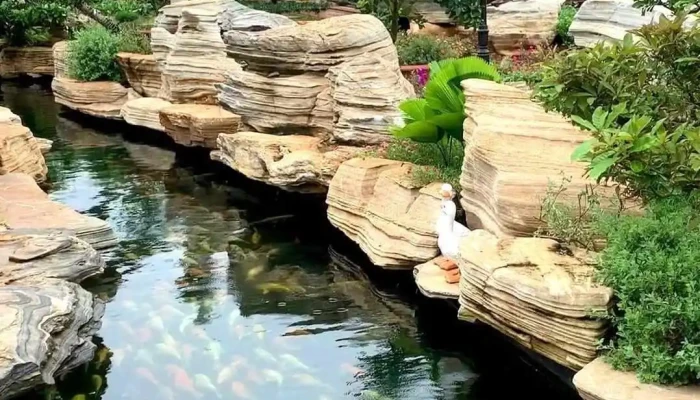 Tram Dung Chan Phuc Loc Tho Video - Bình Phước