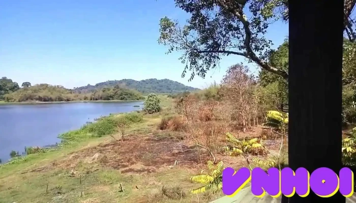 Tram Kiem Lam Bau Sau Video - Đồng Nai