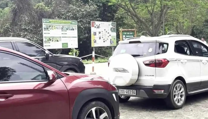 Trung Tam Du Khach Vqg Cuc Phuong Moi Nhat - Ninh Bình
