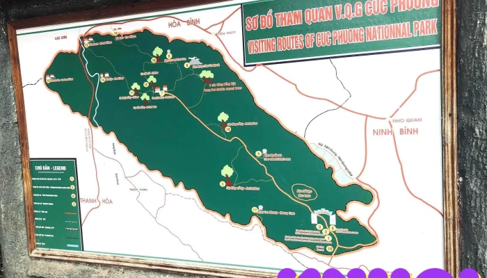 Trung Tam Du Khach Vqg Cuc Phuong Vuon Quoc Gia Cuc Phuong - Ninh Bình