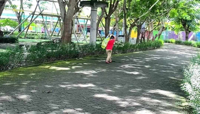 Truong Dai Hoc Vo Truong Toan Cong Vien - Hậu Giang