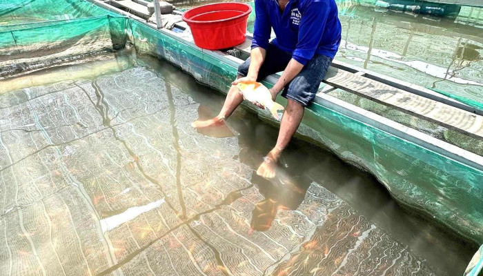 Trại Cá Giống Ba Cưởng - Hồng Ngự