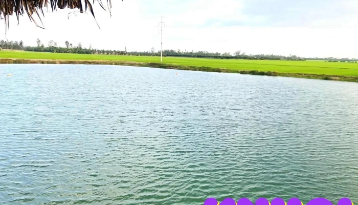 Trạm dừng chân Hữu Tâm 79 - Tam Nông