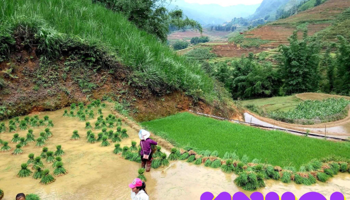 Trạm dừng nghỉ Km 57 Cao Tốc Nội Bài Lào Cai - Tiên Kiên