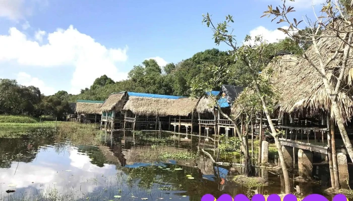 Trằm Trà Lộc - Xã Hải Hưng