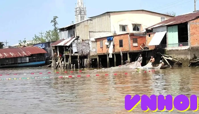 Tt Cai Be Tat Ca - Tiền Giang